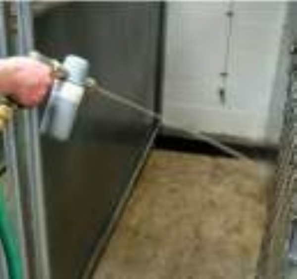 Keeping your dog kennels Clean