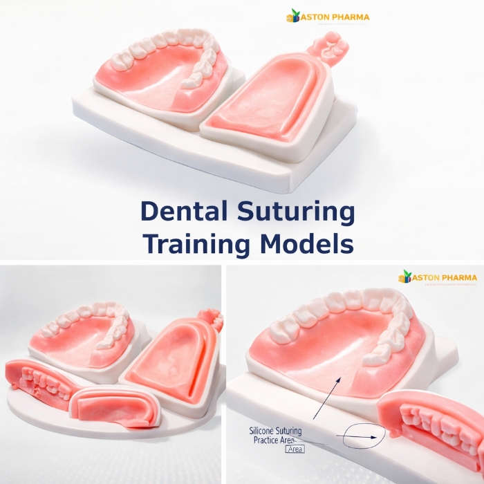 Dental Suturing Practice Model – Silicone Oral Surgery Training Pad