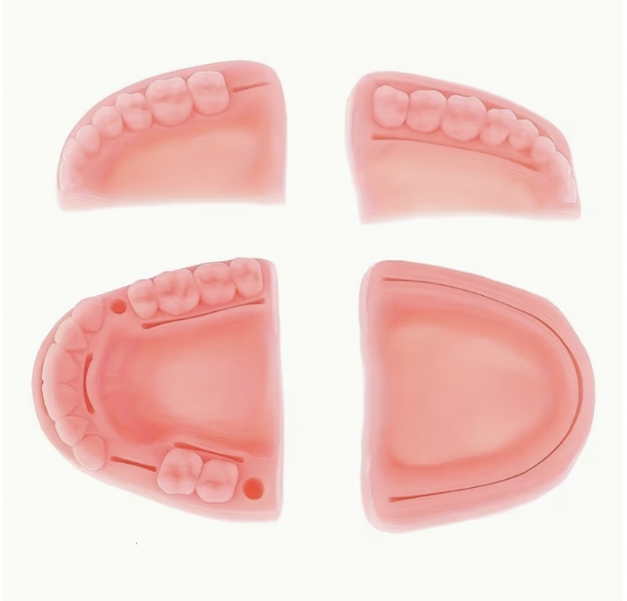 Dental Suturing Practice Model – Silicone Oral Surgery Training Pad