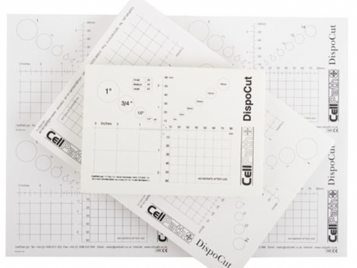 DispoCut Cut Up Dissection Board