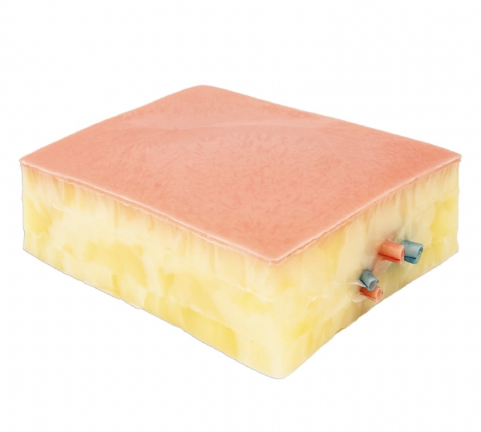 Embedded Femoral Groin Model | Femoral Endarterectomy Training Simulator