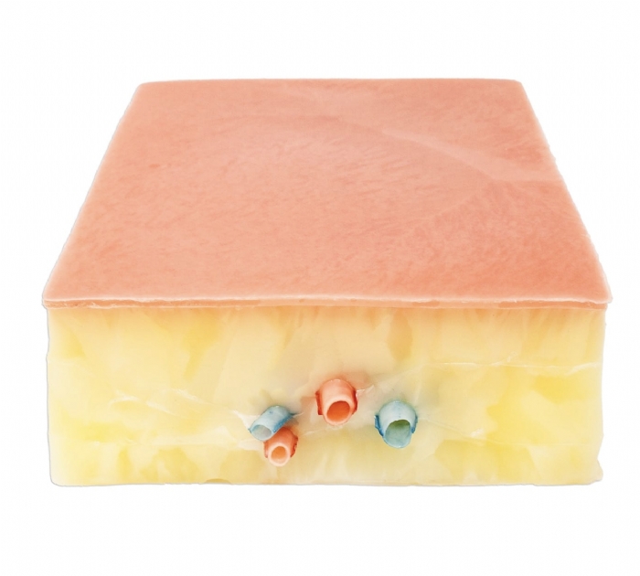 Embedded Femoral Groin Model | Femoral Endarterectomy Training Simulator