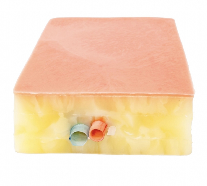 Embedded Femoral Groin Model | Femoral Endarterectomy Training Simulator