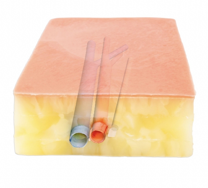 Embedded Femoral Groin Model | Femoral Endarterectomy Training Simulator
