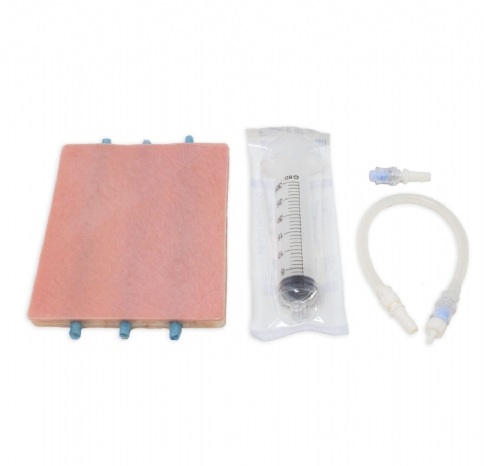 Embedded Veins Venipuncture Model | Venipuncture Training Simulator