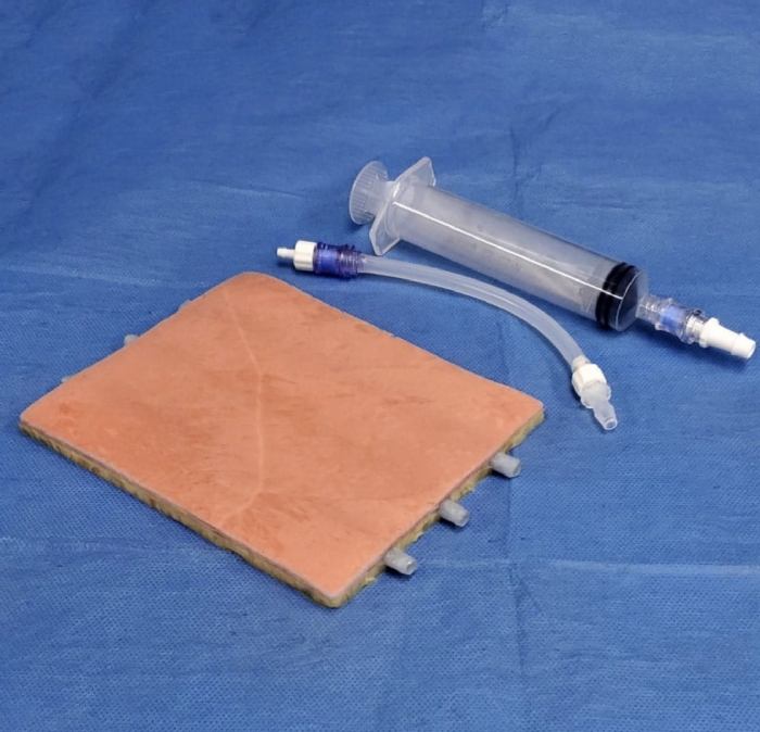 Embedded Veins Venipuncture Model | Venipuncture Training Simulator