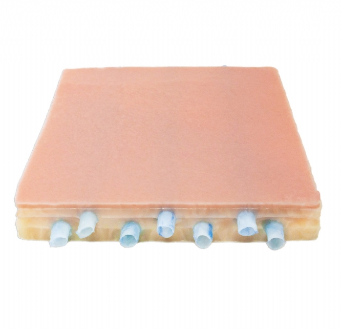 Embedded Veins with Dermis Model | Vascular Anastomosis Training Simulator