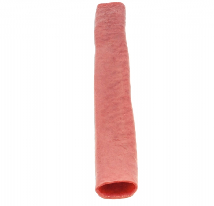 Double Layer Bowel | Surgical Anastomosis Training Model