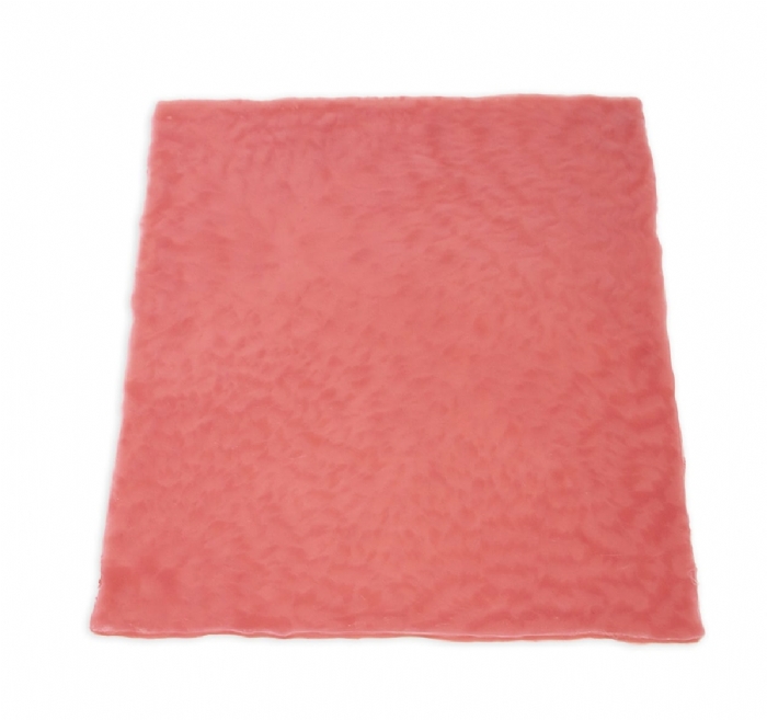 Bowel Tissue Sheet | Surgical Suturing & Anastomosis Training Model