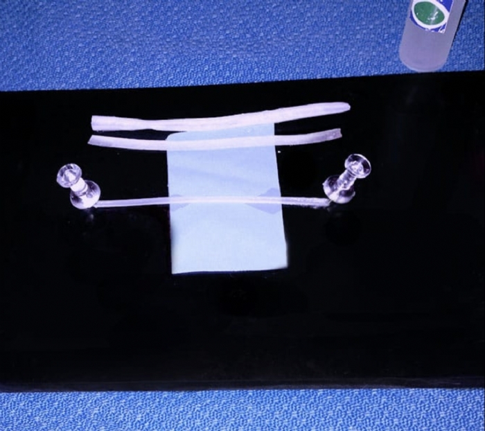 Tissue Mounting Pad | Surgical Training Base for Anastomosis Practice