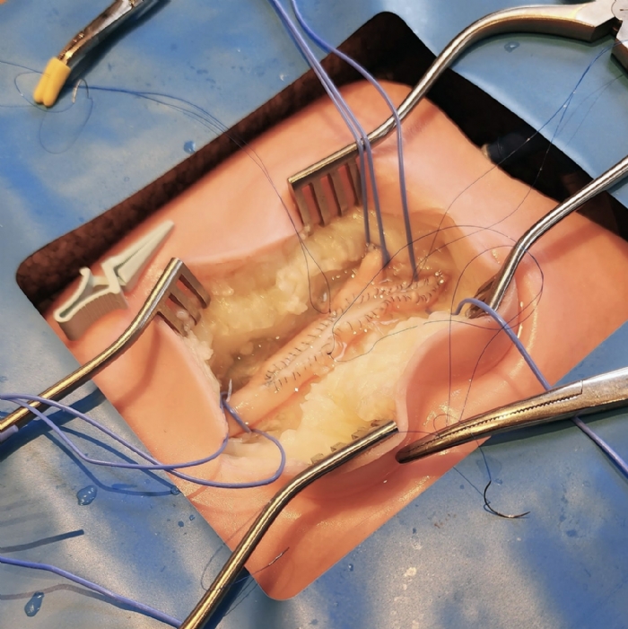 VI Box Surgical Simulator | Vascular & Surgical Skills Training System