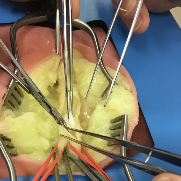 VI Box Surgical Simulator | Vascular & Surgical Skills Training System