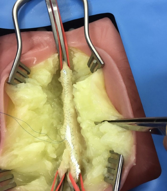 VI Box Surgical Simulator | Vascular & Surgical Skills Training System