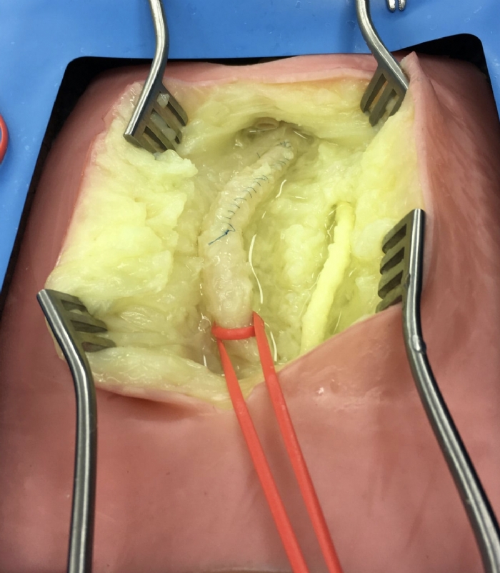 VI Box Surgical Simulator | Vascular & Surgical Skills Training System