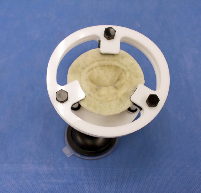 Mitral Valve Base | Cardiac Surgery Training Valve Holder