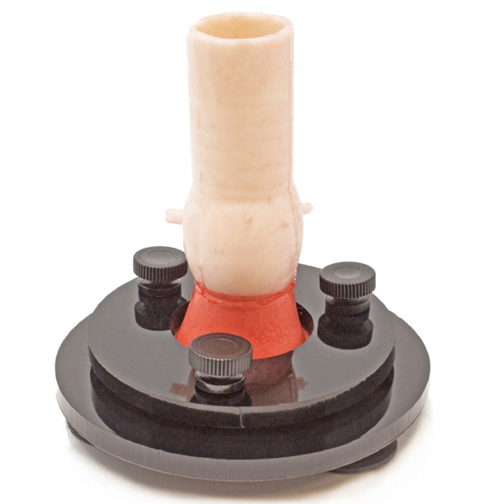 Aortic Valve Base | Cardiac Surgery Training Valve Holder
