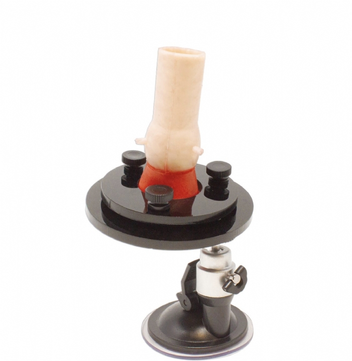 Aortic Valve Base | Cardiac Surgery Training Valve Holder