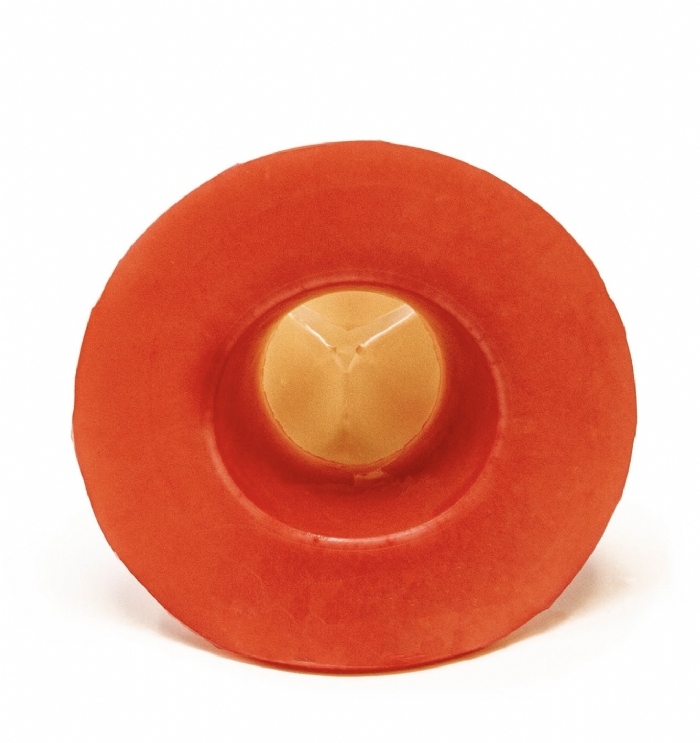 Aortic Valve Model | Cardiac Surgery & Valve Replacement Training Simulator