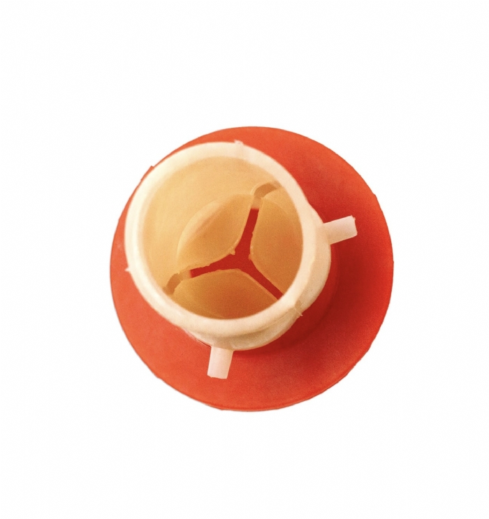 Aortic Valve Model | Cardiac Surgery & Valve Replacement Training Simulator