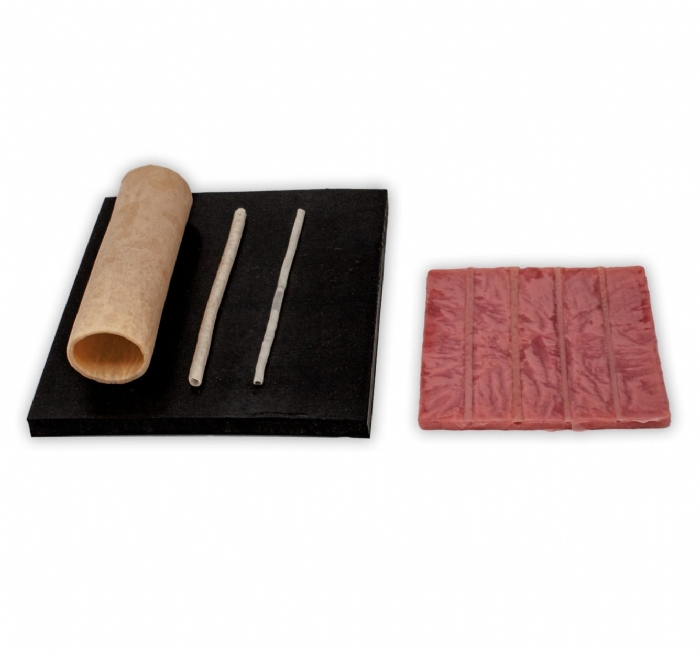 Cardiac Surgery Sample Complete Pack | Coronary Anastomosis Training Kit