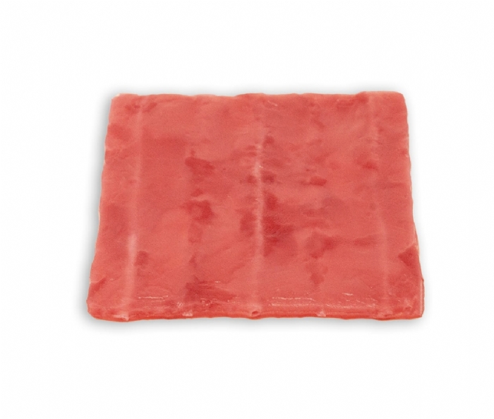 Embedded Microvessels Model | Microvascular Anastomosis Training Simulator