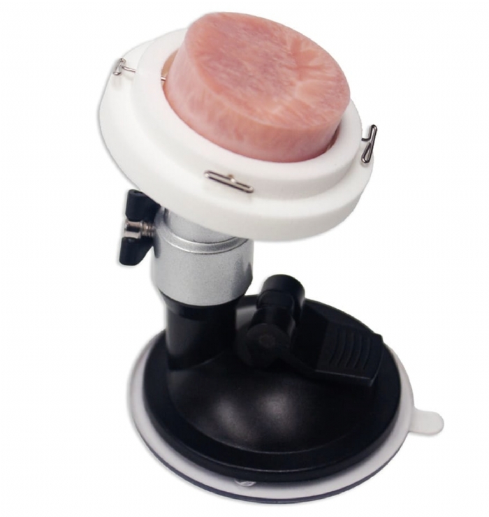 Cervix Disc Biopsy Model | Cervical Biopsy & OB-GYN Surgical Training Simulator