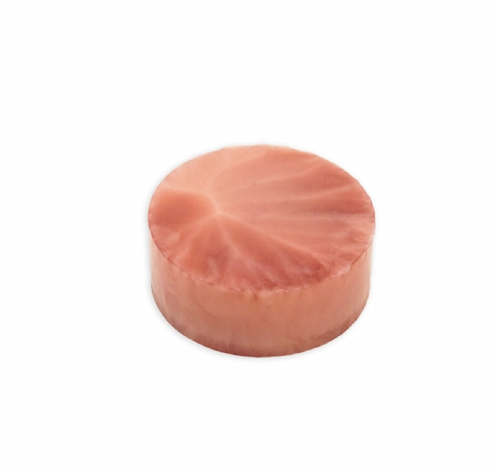 Cervix Disc Biopsy Model | Cervical Biopsy & OB-GYN Surgical Training Simulator