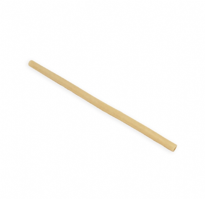 Urethra Training Model | Urethral Anastomosis & Urology Surgical Simulator