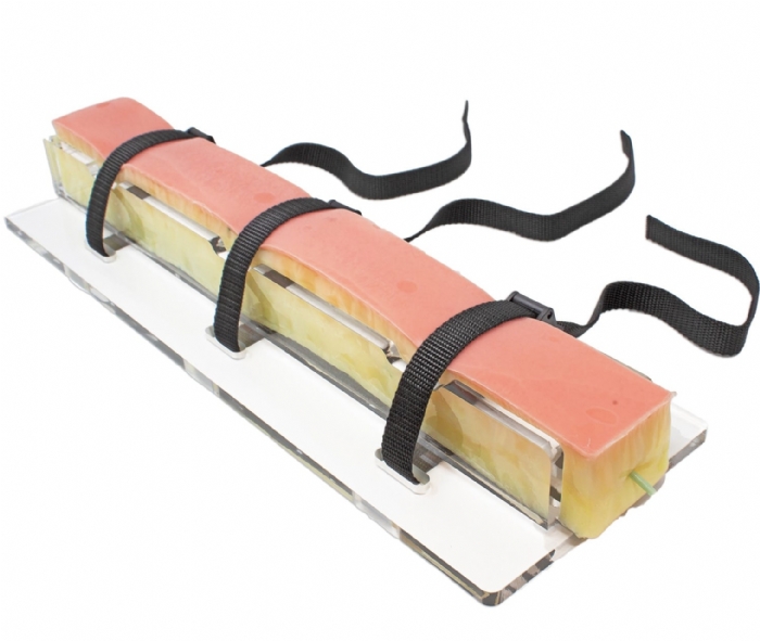 Long Embedded Femoral Artery Model | Vascular Anastomosis Training Simulator