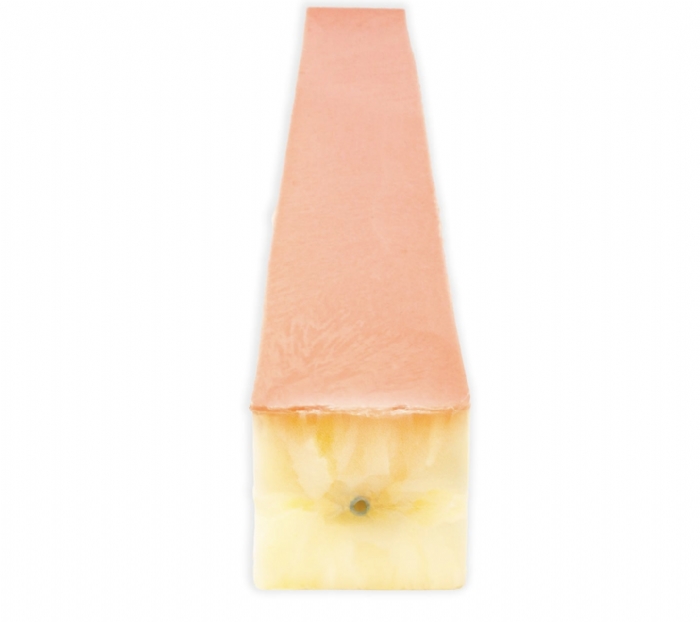 Long Embedded Femoral Artery Model | Vascular Anastomosis Training Simulator