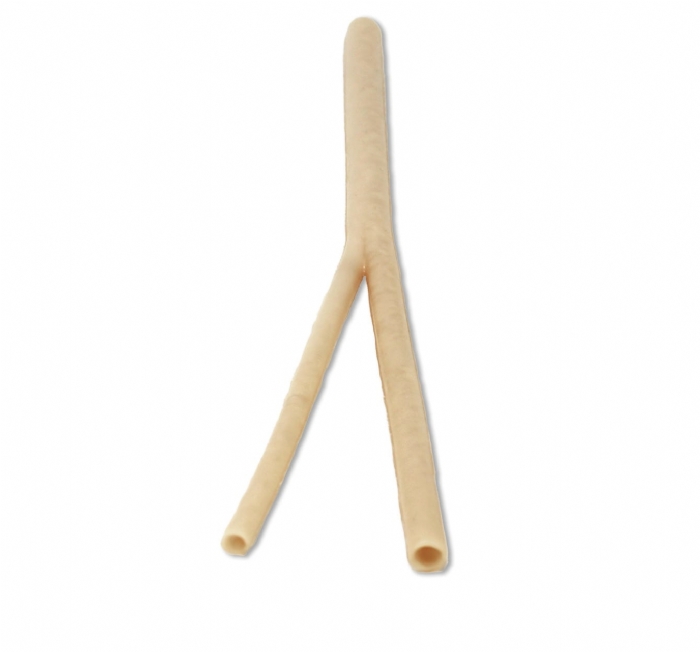 Carotid Artery Training Model | Carotid Endarterectomy Surgical Simulator