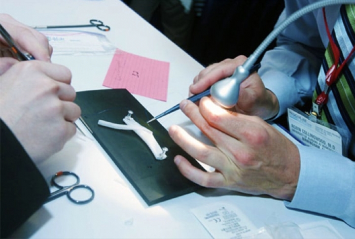 Vascular Anastomosis Model | End-to-Side Anastomosis Training Kit