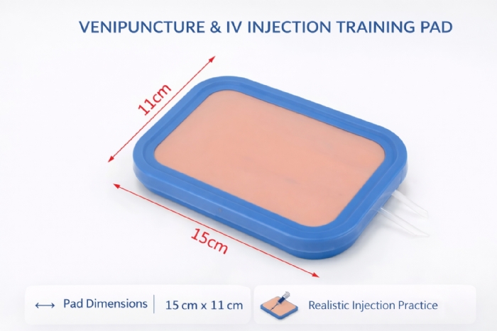 Simulated Skin IV Injection & Venipuncture Training Pad – Phlebotomy Practice Model