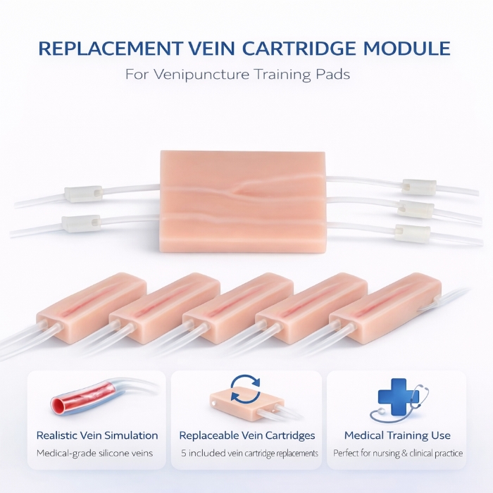 IV Injection & Venipuncture Training Pad – Phlebotomy Practice Model for Medical & Nursing Training