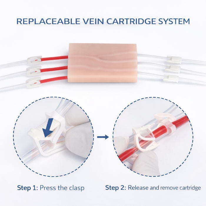 IV Injection & Venipuncture Training Pad – Phlebotomy Practice Model for Medical & Nursing Training