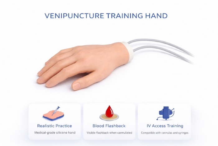 Venipuncture Training Hand – IV Injection & Phlebotomy Practice Model