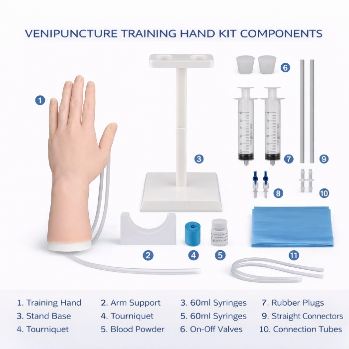 Venipuncture Training Hand – IV Injection & Phlebotomy Practice Model