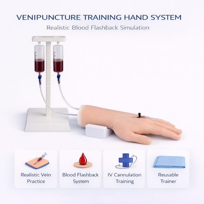 Venipuncture Training Hand – IV Injection & Phlebotomy Practice Model