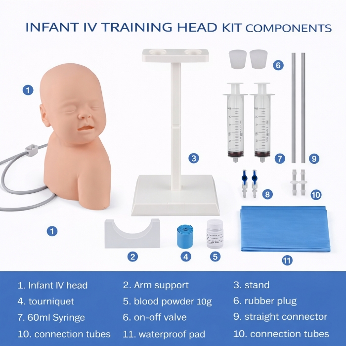 Infant Head IV Injection & Scalp Venipuncture Training Model – Neonatal Clinical Skills Simulator