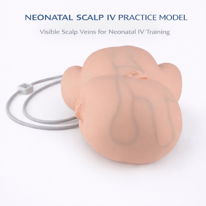 Infant Head IV Injection & Scalp Venipuncture Training Model – Neonatal Clinical Skills Simulator