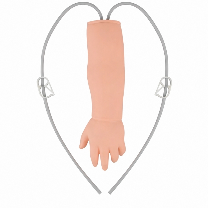 Newborn IV Injection Training Arm – Infant Venipuncture & Phlebotomy Practice Model