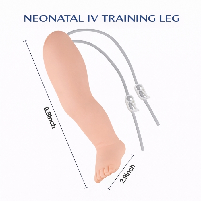 Infant IV Leg Venipuncture Training Model – Neonatal Phlebotomy & IV Injection Practice