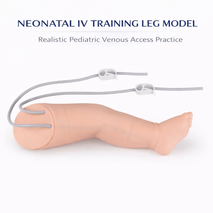 Infant IV Leg Venipuncture Training Model – Neonatal Phlebotomy & IV Injection Practice