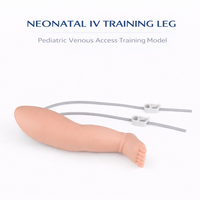Infant IV Leg Venipuncture Training Model – Neonatal Phlebotomy & IV Injection Practice