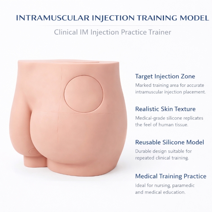Buttock Intramuscular Injection Training Model – Gluteal IM Injection Practice Simulator