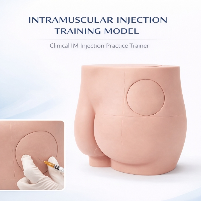 Buttock Intramuscular Injection Training Model – Gluteal IM Injection Practice Simulator