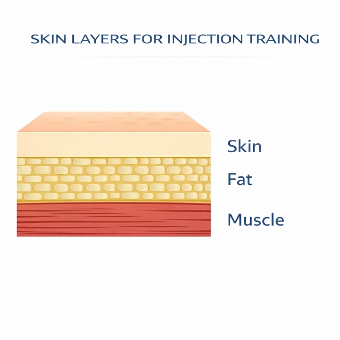 Y-Vessel IV Injection Practice Pad – Venipuncture & Phlebotomy Training Simulator