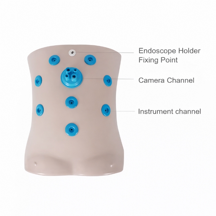 Laparoscopic Trainer Box Set with Instruments – Laparoscopy Surgical Skills Training Simulator