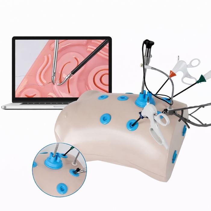 Laparoscopic Trainer Box Set with Instruments – Laparoscopy Surgical Skills Training Simulator