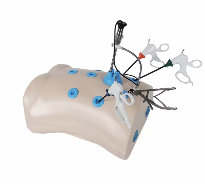 Laparoscopic Trainer Box Set with Instruments – Laparoscopy Surgical Skills Training Simulator